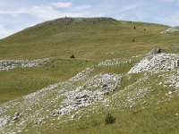 F, Drome, Treschenu-Creyers, Vallon de Combeau 105, Saxifraga-Willem van Kruijsbergen