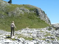 F, Drome, Treschenu-Creyers, Vallon de Combeau 11, Saxifraga-Jan van der Straaten