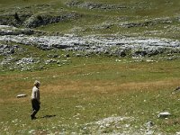 F, Drome, Treschenu-Creyers, Vallon de Combeau 14, Saxifraga-Jan van der Straaten