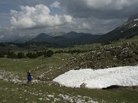 F, Drome, Treschenu-Creyers, Vallon de Combeau 47, Saxifraga-Jan van der Straaten