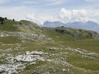 F, Drome, Treschenu-Creyers, Vallon de Combeau 56, Saxifraga-Willem van Kruijsbergen