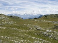 F, Drome, Treschenu-Creyers, Vallon de Combeau 57, Saxifraga-Willem van Kruijsbergen