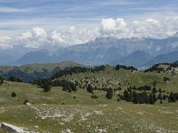 F, Drome, Treschenu-Creyers, Vallon de Combeau 75, Saxifraga-Willem van Kruijsbergen