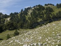 F, Drome, Treschenu-Creyers, Vallon de Combeau 77, Saxifraga-Willem van Kruijsbergen