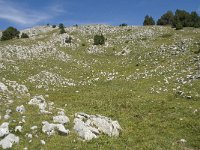 F, Drome, Treschenu-Creyers, Vallon de Combeau 80, Saxifraga-Willem van Kruijsbergen