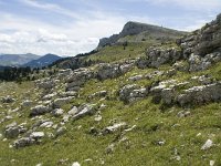 F, Drome, Treschenu-Creyers, Vallon de Combeau 89, Saxifraga-Willem van Kruijsbergen