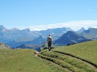 F, Drome, Treschenu-Creyers, Vallon de Combeau 9, Saxifraga-Jan van der Straaten