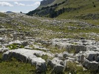 F, Drome, Treschenu-Creyers, Vallon de Combeau 92, Saxifraga-Willem van Kruijsbergen