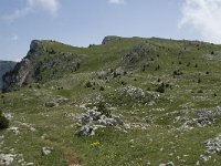 F, Isere, Gresse-en-Vercors, Pas de la Selle 20, Saxifraga-Willem van Kruijsbergen