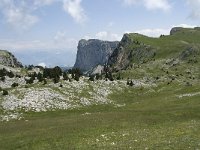 F, Isere, Gresse-en-Vercors, Pas de la Selle 23, Saxifraga-Willem van Kruijsbergen