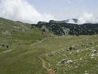 F, Isere, Gresse-en-Vercors, Pas de la Selle 24, Saxifraga-Willem van Kruijsbergen