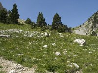 F, Isere, Gresse-en-Vercors, Pas de la Selle 25, Saxifraga-Willem van Kruijsbergen