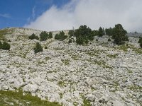 F, Isere, Gresse-en-Vercors, Pas de la Selle 30, Saxifraga-Willem van Kruijsbergen