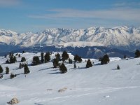 F, Isere, Gresse-en-Vercors, Pas des Chattons 1, Saxifraga-Jan van der Straaten