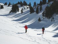 F, Isere, Gresse-en-Vercors, Pas des Chattons 3, Saxifraga-Jan van der Straaten