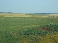 H, Szabolcs–Szatmár–Bereg, Tilos Erdoe 2, Saxifraga-Jan van der Straaten