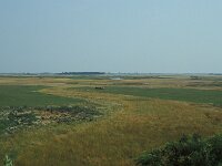 H, Szabolcs–Szatmár–Bereg, Tilos Erdoe 3, Saxifraga-Jan van der Straaten