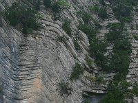 F, Herault, Saint-Maurice-Navacelles, Gorge de la Vis 1, Saxifraga-Dirk Hilbers