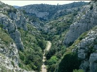 F, Vaucluse, Cheval-Blanc, Vallon Galere 1, Saxifraga-Jan van der Straaten