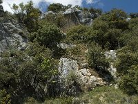 F, Vaucluse, Sault, Gorges de la Nesque 3, Saxifraga-Willem van Kruijsbergen