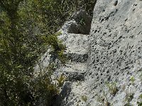 F, Vaucluse, Sault, Gorges de la Nesque, Fayol 5, Saxifraga-Willem van Kruijsbergen