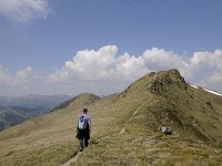 A, Kaernten, Reichenau, Schoberriegel 32, Saxifraga-Luuk Vermeer