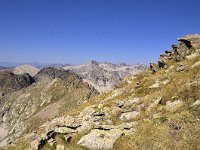 F, Alpes Maritimes, Vesubie 6, Saxifraga-Elisabeth Raboin