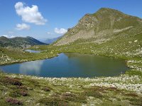 F, Alpes Maritimes, Vesubie 9, Saxifraga-Elisabeth Raboin