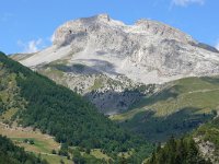 F, Alpes-de-Haute-Provence, Uvernet-Fours, road to Col d Allos 1, Saxifraga-Tom Heijnen