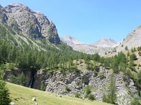 F, Alpes-de-Haute-Provence, Uvernet-Fours, road to Col d Allos 2, Saxifraga-Tom Heijnen