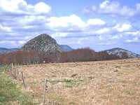 F, Ardeche, Saint-Martial, Mont Gerbier de Jonc 1, Saxifraga-Tom Heijnen