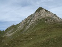 F, Ariege, Seix, Port d Aula 31, Saxifraga-Willem van Kruijsbergen