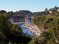 F, Bouches-du-Rhone, Cassis 2, Saxifraga-Hans Dekker