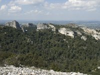 F, Bouches-du-Rhone, Saint-Remy-de-Provence 17, Saxifraga-Willem van Kruijsbergen