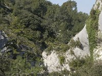 F, Bouches-du-Rhone, Saint-Remy-de-Provence 6, Saxifraga-Willem van Kruijsbergen