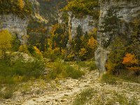 F, Drome, Treschenu-Creyers, Gorges des Gats 2, Saxifraga-Jan van der Straaten