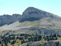 F, Drome, Treschenu-Creyers, La Montagrette 1, Saxifraga-Jan van der Straaten