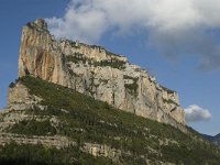 F, Drome, Treschenu-Creyers, Roche de Combeau 6, Saxifraga-Jan van der Straaten