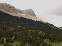 F, Drome, Treschenu-Creyers, Sommet de la Montagnette 1, Saxifraga-Willem van Kruijsbergen