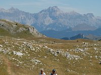 F, Drome, Treschenu-Creyers, Vallon de Combeau 29, Saxifraga-Jan van der Straaten