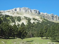 F, Drome, Treschenu-Creyers, Vallon de Combeau 3, Saxifraga-Jan van der Straaten