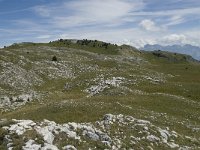 F, Drome, Treschenu-Creyers, Vallon de Combeau 52, Saxifraga-Willem van Kruijsbergen