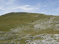 F, Drome, Treschenu-Creyers, Vallon de Combeau 55, Saxifraga-Willem van Kruijsbergen