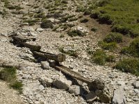 F, Drome, Treschenu-Creyers, Vallon de Combeau 59, Saxifraga-Willem van Kruijsbergen