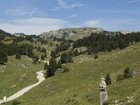 F, Drome, Treschenu-Creyers, Vallon de Combeau 65, Saxifraga-Willem van Kruijsbergen