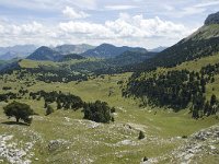 F, Drome, Treschenu-Creyers, Vallon de Combeau 71, Saxifraga-Willem van Kruijsbergen