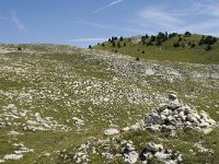 F, Drome, Treschenu-Creyers, Vallon de Combeau 99, Saxifraga-Willem van Kruijsbergen