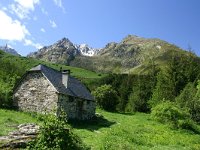 F, Hautes-Pyrenees, Estaing, Lac d Estaing 2, Saxifraga-Dirk Hilbers