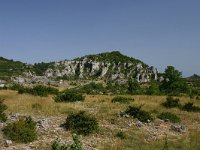 F, Herault, Le Caylar 2, Saxifraga-Dirk Hilbers