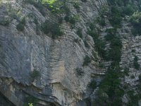 F, Herault, Saint-Maurice-Navacelles, Gorge de la Vis 11, Saxifraga-Dirk Hilbers